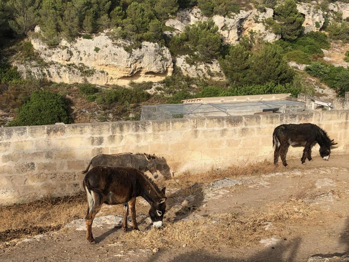 Villino Odaldo Mottola Kültér fotó
